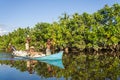 Malagasy people paddling Royalty Free Stock Photo