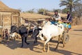 Malagasy traditional transport