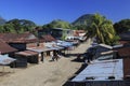 Malagasy village in the Sambava area