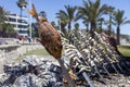 A BBQ on a Beach Bar with a Fish in Malaga, Andalucia, Andalusia, Spain Royalty Free Stock Photo