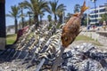 Malagueta Beach Bar, Fish Barbeque, Malaga, Andalucia, Andalusia, Spain Royalty Free Stock Photo