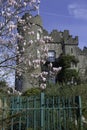 Castle with Magnolia Flowers Branch Royalty Free Stock Photo