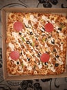 Malai boti square large pizza