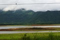 Malampuzha dam of Kerala in a rainy day. Royalty Free Stock Photo