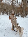 Owner with two malamute dogs walking on the snow Royalty Free Stock Photo