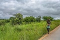 View of a older woman currying twigs on head, along roadside, tropical landscape as background