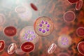 The malaria-infected red blood cell Royalty Free Stock Photo