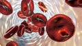 The malaria-infected red blood cells