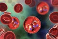 The malaria-infected red blood cells