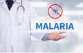 MALARIA