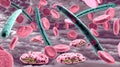 Malaria pathogen causing malaria illness and blood cells into blood circulation Royalty Free Stock Photo