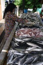 Malay Girl Selling Fish Royalty Free Stock Photo