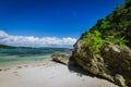 Trees on a rock formation on a beacn Royalty Free Stock Photo