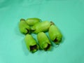 Malay rose apple fruit bud Royalty Free Stock Photo