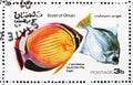 Malayan angel and Rainbow butterfly fish, Oman serie, circa 1974