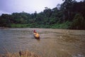 Malaysia: A boat trip through the second oldest rainforest in Taman Negara National Park