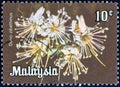 MALAYSIA - CIRCA 1979: A stamp printed in Malaysia shows Durio zibethinus flower, circa 1979. Royalty Free Stock Photo