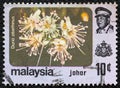 MALAYSIA - CIRCA 1979: A stamp printed in Malaysia shows a Durio zibethinus flower, circa 1979. Royalty Free Stock Photo