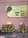 Malaysia Kuala Lumpur KL Downtown Market Musang King Durians Delicious Addictive Tropical Fruits Exotic Spiky Stinky Durian Food 