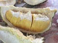 Malaysia Kuala Lumpur KL Downtown Market Musang King Durians Delicious Addictive Tropical Fruits Exotic Spiky Stinky Durian Food 