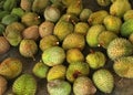 Malaysia Penang Durians Farm Plantation Tasting Tour All You Can Eat Durian Buffet Fruits Party Wholesale Tropical Food Market