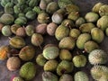 Malaysia Penang Durians Farm Plantation Tasting Tour All You Can Eat Durian Buffet Fruits Party Wholesale Tropical Food Market