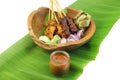 Malaysia Popular Grilled Chicken Satay