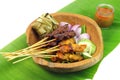 Malaysia Popular Grilled Chicken Satay