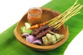 Malaysia Popular Grilled Chicken Satay