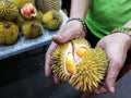 Malaysia Borneo Sabah Kota Kinabalu Durian Market Mini Durians Special Rare Tropical Exotic Wild Durians Night Farmers Markets 