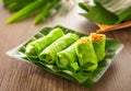 Malaysia popular sweet dessert with coconut known as kuih ketayap Royalty Free Stock Photo