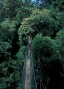 Malaysia: Walking over the hanging bridge over the rain forest