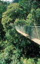 Malaysia: Walking over the hanging bridge over the Tam