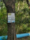 Malaysian money lender sign hanging on the tree.