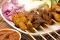 Malaysian Satay Royalty Free Stock Photo