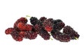 Malberry on the white background Royalty Free Stock Photo