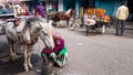 An elderly Indian man sitting with his horse cart on the market streets of the city of Royalty Free Stock Photo