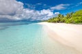 Maldives beach landscape. Beautiful tropical view, palm trees and calm blue sea. Summer landscape, travel and vacation concept Royalty Free Stock Photo