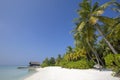 Maldives beautiful beach landscape Royalty Free Stock Photo