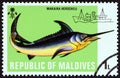 MALDIVES - CIRCA 1973: A stamp printed in Maldives shows Marlin (Makaira herscheli).