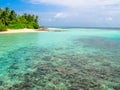 Maldives coral reef