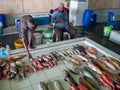 Maldives fisherman preparing seafood at a local Male market street food