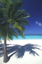 Maldives idyllic beach Royalty Free Stock Photo