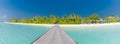 Maldives island beach panorama. Palm tree and beach bar and long wooden pier pathway. Tropical vacation and summer holiday concept Royalty Free Stock Photo