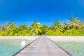 Maldives island beach panorama. Palm trees and beach bar and long wooden pier pathway. Tropical vacation and summer holiday Royalty Free Stock Photo