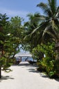 Maldives island beach road under the palms Royalty Free Stock Photo