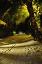 Maldives island beach road under the palms at night Royalty Free Stock Photo