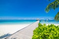 Maldives island landscape. Wooden jetty, seaplane and palm leaf. Beach vacation and holiday concept Royalty Free Stock Photo