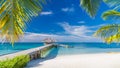 Maldives paradise beach banner. Perfect tropical island. Beautiful palm trees and tropical beach. Moody blue sky and blue lagoon Royalty Free Stock Photo