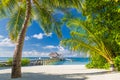 Maldives paradise beach banner. Perfect tropical island. Beautiful palm trees and tropical beach. Moody blue sky and blue lagoon Royalty Free Stock Photo